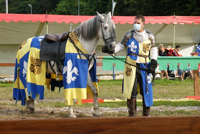 身体素质 身体素质