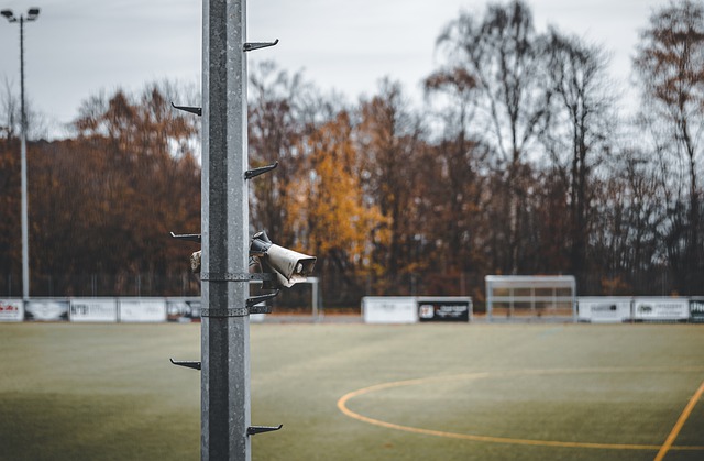 的国家队 的国家队