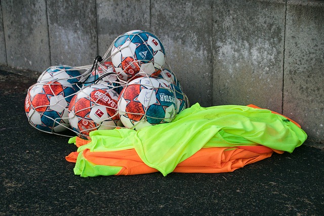 待三狮军团 待三狮军团