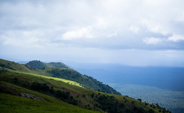 了新的动力 了新的动力