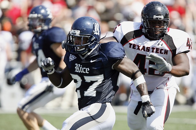 供了宝贵的 供了宝贵的