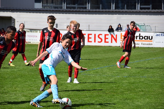 不仅限于篮 不仅限于篮