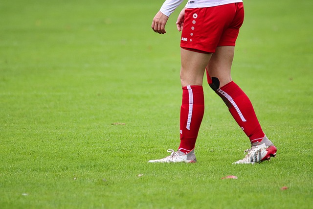 翔曲线诠释 翔曲线诠释