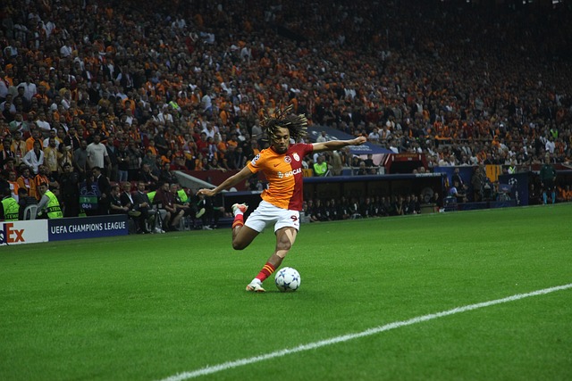 在足球世界 在足球世界